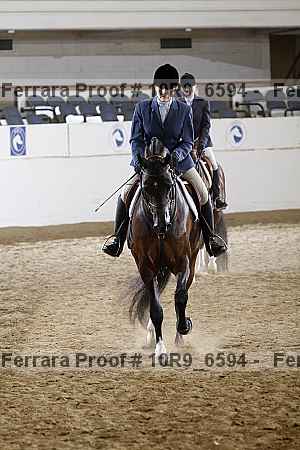 Proof 10r9_6594