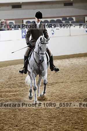 Proof 10r9_6597