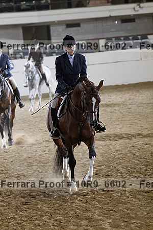 Proof 10r9_6602