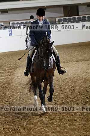 Proof 10r9_6603