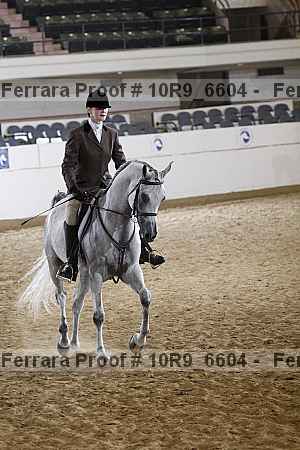 Proof 10r9_6604