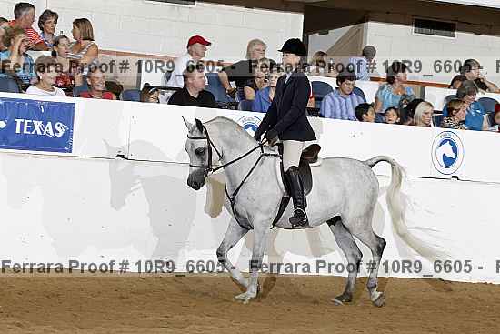 Proof 10r9_6605