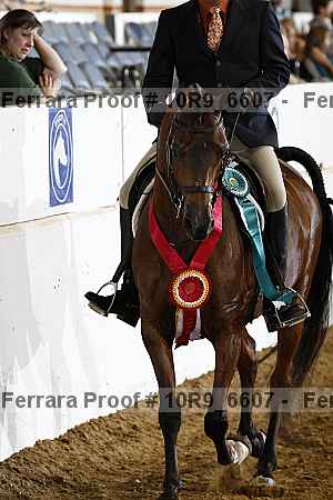 Proof 10r9_6607