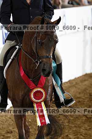 Proof 10r9_6609