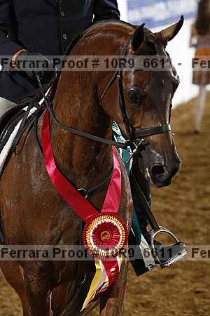 Proof 10r9_6611
