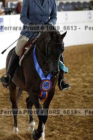 Proof 10r9_6613