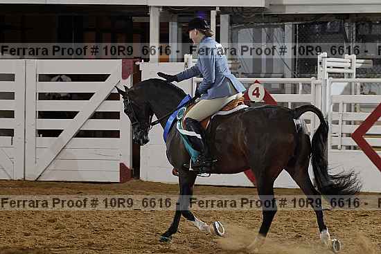 Proof 10r9_6616