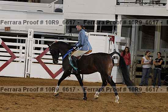 Proof 10r9_6617