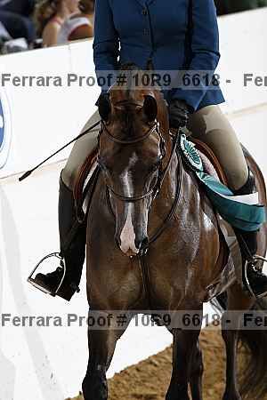 Proof 10r9_6618
