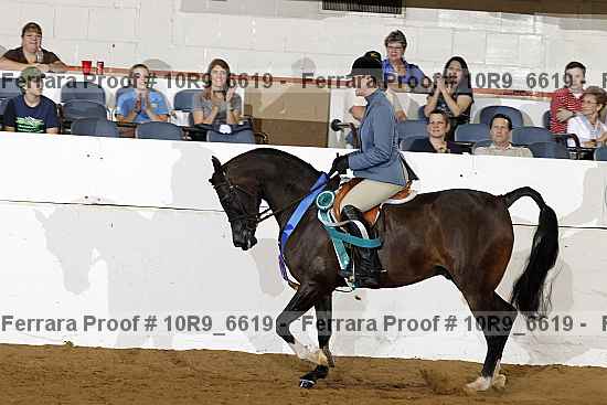 Proof 10r9_6619