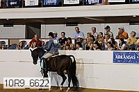 10r9_6622 proof