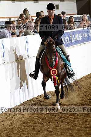 Proof 10r9_6625