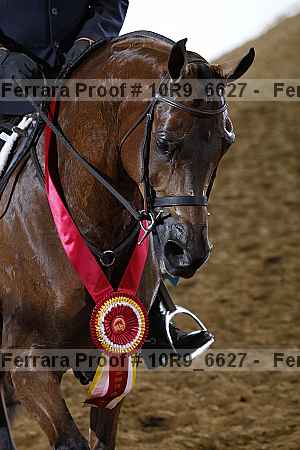 Proof 10r9_6627
