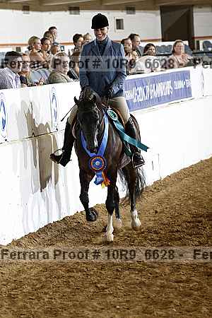 Proof 10r9_6628