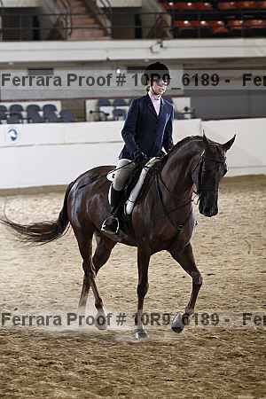 Proof 10r9_6189