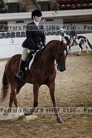 Proof 10r9_6190