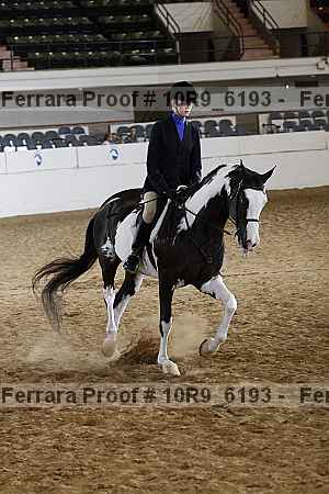 Proof 10r9_6193