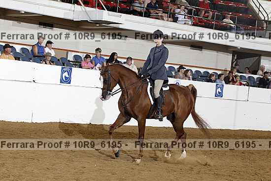 Proof 10r9_6195