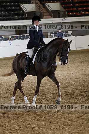 Proof 10r9_6196