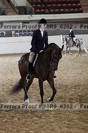 Proof 10r9_6202