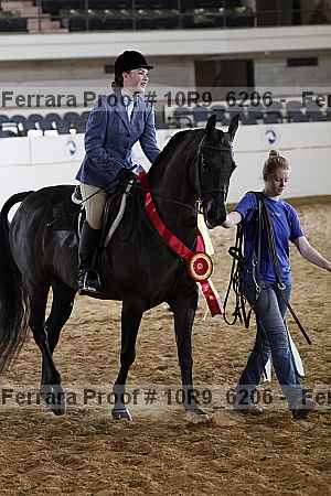 Proof 10r9_6206