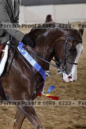 Proof 10r9_6223