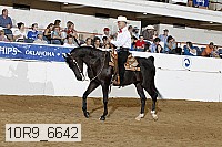 10r9_6642 proof