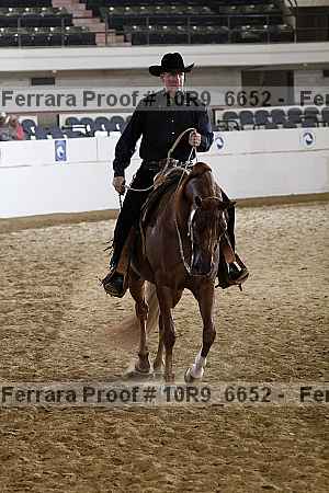 Proof 10r9_6652