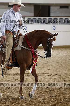 Proof 10r9_6655