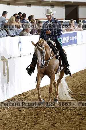 Proof 10r9_6663