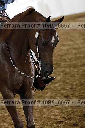 Proof 10r9_6667