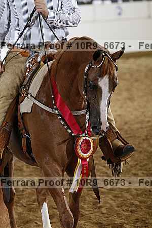 Proof 10r9_6673