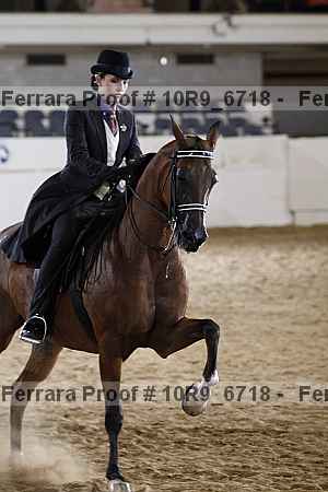 Proof 10r9_6718