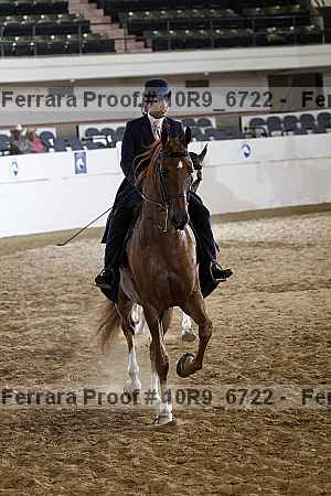 Proof 10r9_6722
