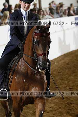 Proof 10r9_6732
