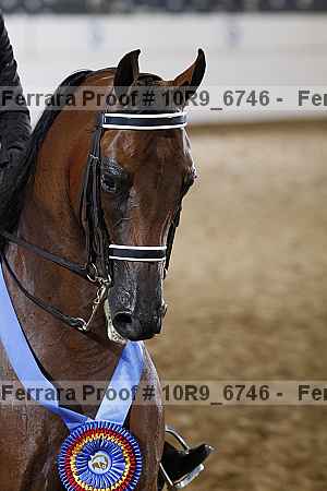 Proof 10r9_6746