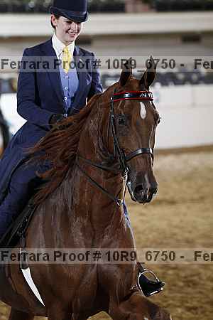 Proof 10r9_6750