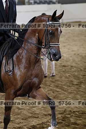 Proof 10r9_6756
