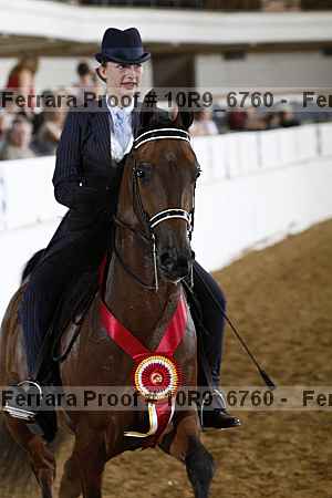 Proof 10r9_6760