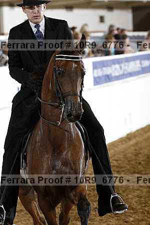Proof 10r9_6776