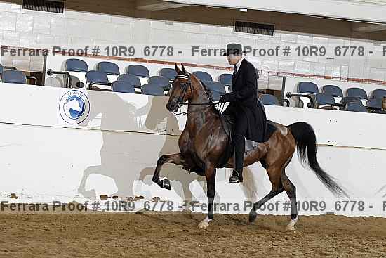 Proof 10r9_6778
