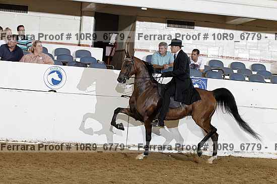 Proof 10r9_6779