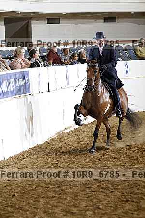 Proof 10r9_6785