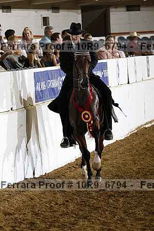Proof 10r9_6794