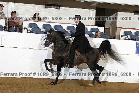 Proof 10r9_6808