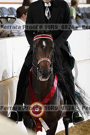 Proof 10r9_6824