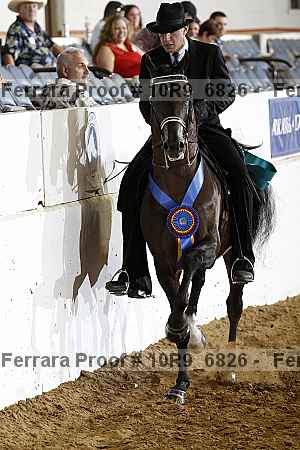 Proof 10r9_6826