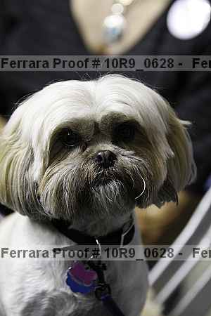 Proof 10r9_0628