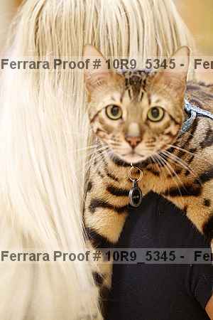 Proof 10r9_5345