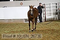 10usn_26736 proof